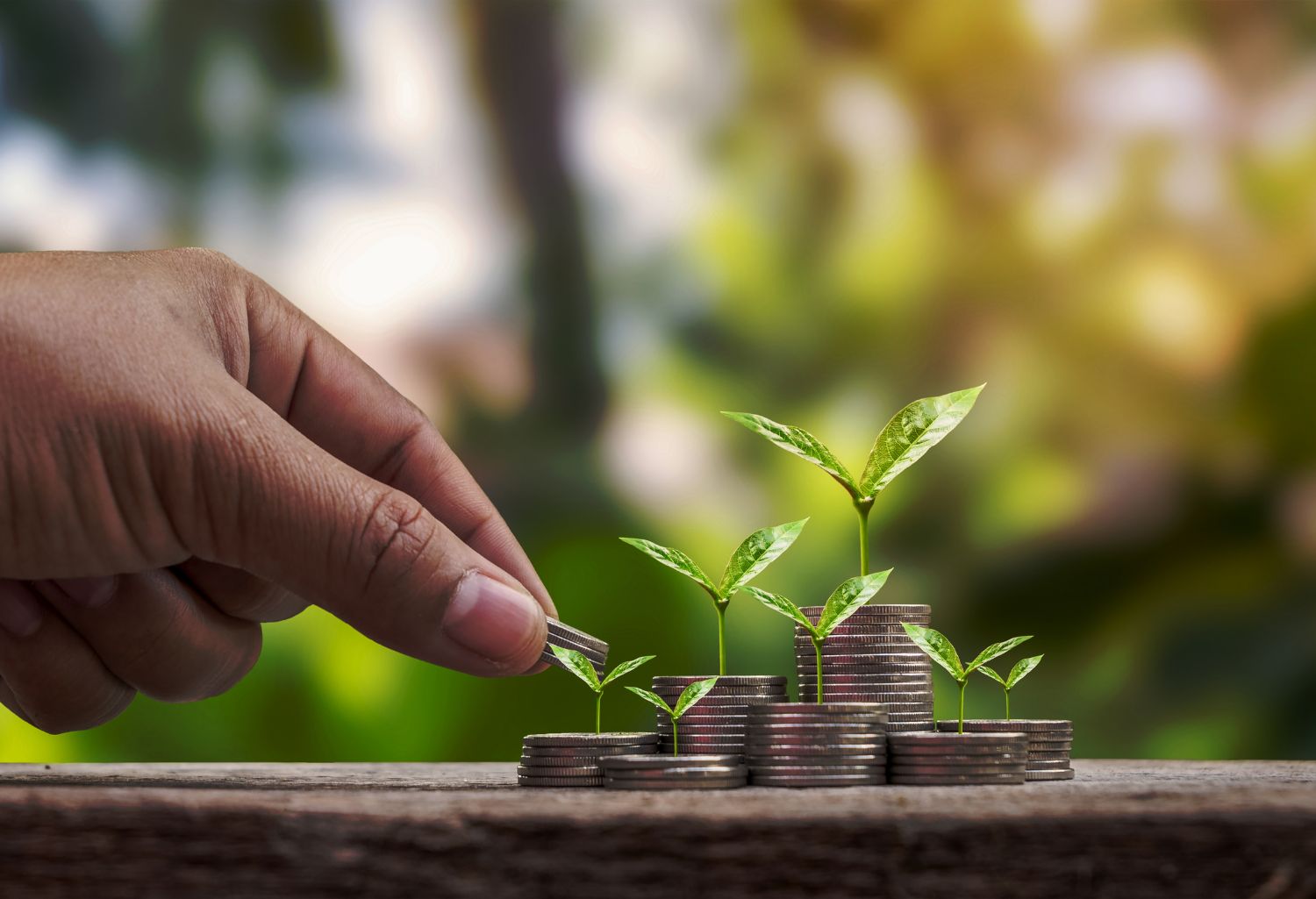 Financial Health in the Environmental Sector: The development of the financial sector and economic growth. Trees growing on piles of money.